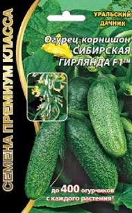 Огурец Сибирская гирлянда F1 (уральский дачник) 5 шт Огурец Сибирская гирлянда F1 (уральский дачник) 5 шт