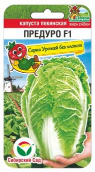 Капуста пекинская Предуро F1 (сибирский сад) 10 шт Капуста пекинская Предуро F1 (сибирский сад) 10 шт