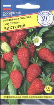 Земляника (клубника) Виктория (престиж) 0,01 гр Земляника (клубника) Виктория (престиж) 0,01 гр