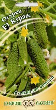 Огурец Кураж F1 (гавриш) 10 шт Огурец Кураж F1 (гавриш) 10 шт