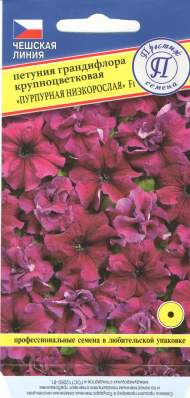 Петуния Грандифлора крупноцветковая Пурпурная низкорослая F1 (престиж) 5 шт Петуния Грандифлора крупноцветковая Пурпурная низкорослая F1 (престиж) 5 шт