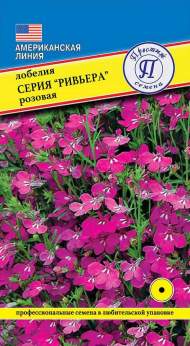 Лобелия Розовая (серия Ривьера) (престиж) 5шт Лобелия Розовая (серия Ривьера) (престиж) 5шт