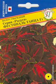 Колеус серия радуга Фестиваль танца F1 (престиж) 10шт Колеус серия радуга Фестиваль танца F1 (престиж) 10шт