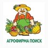 Поиск Поиск