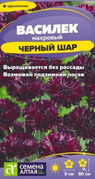 Василек махровый Черный шар (семена Алтая) 0,3 гр однолетник Василек махровый Черный шар (семена Алтая) 0,3 гр однолетник