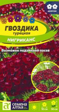 Гвоздика турецкая Нигриканс (семена Алтая) 0,05 гр двулетник Гвоздика турецкая Нигриканс (семена Алтая) 0,05 гр двулетник