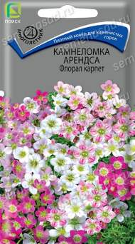 Камнеломка Арендса Флорал карпет (поиск) 0,01 гр Камнеломка Арендса Флорал карпет (поиск) 0,01 гр