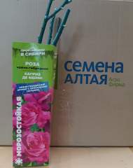 Роза Алтай чайно-гибридная Каприз Де Майян 1 шт Роза Алтай чайно-гибридная Каприз Де Майян 1 шт