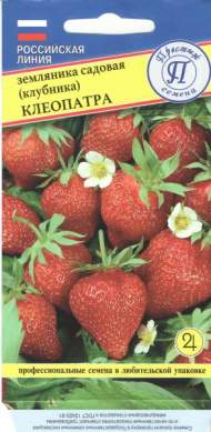 Земляника (клубника) Клеопатра (престиж) 0,01 гр Земляника (клубника) Клеопатра (престиж) 0,01 гр