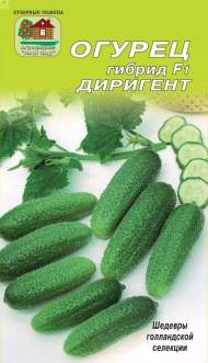 Огурец Диригент F1 (наш сад) 5 шт Огурец Диригент F1 (наш сад) 5 шт