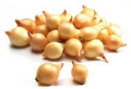 Лук-севок Штуттгартер-ризен 10-21мм (Россия) Лук-севок Штуттгартер-ризен 10-21мм (Россия)