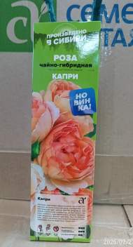 Роза Алтай чайно-гибридная Капри 1 шт Роза Алтай чайно-гибридная Капри 1 шт