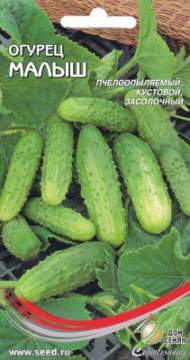 Огурец Малыш (дом семян) 10 шт Огурец Малыш (дом семян) 10 шт