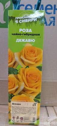 Роза Алтай чайно-гибридная Дежавю 1 шт Роза Алтай чайно-гибридная Дежавю 1 шт