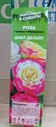 Роза Алтай чайно-гибридная Дабл Делайт 1 шт Роза Алтай чайно-гибридная Дабл Делайт 1 шт