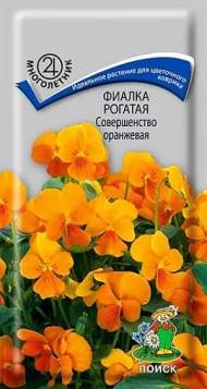 Фиалка Совершенство оранжевая (поиск) 0,1 гр многолетник Фиалка Совершенство оранжевая (поиск) 0,1 гр многолетник